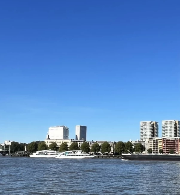 Skyline Scheepvaartkwartier gezien van de Wilhelminapier